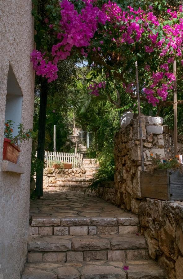 Natural Reserve Apartment Zikhron Ya'akov Exterior foto