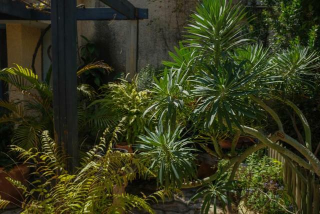 Natural Reserve Apartment Zikhron Ya'akov Exterior foto